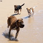 Kebana Horus y Traun 01