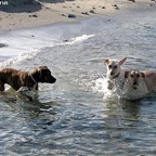 Kebana Ifach y Parla