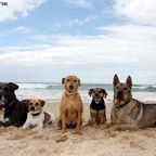 Midnight Horus Timon Traun y Closer