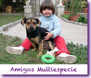 Amigos Multiespecie