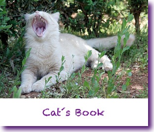 Cat&acute;s Book