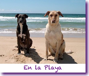En la Playa