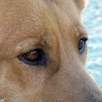 3752029457_6ae1f32d4e