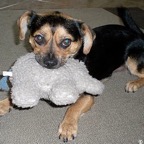 3752029859_c0b86ac90f