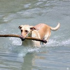 3752029999_d9d86ceeb7