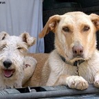 3752030649_c94a8252e3