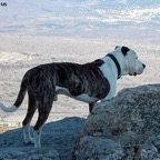 3752030995_46b1beab90