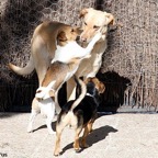 3752031439_a692b98ceb