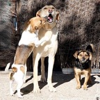 3752031677_5a3cf934bd