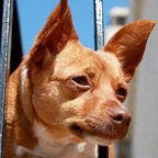 3752032055_7339c6fbfc