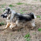 3752032839_9ec9caf400