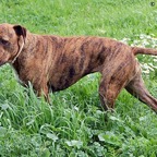 3752033049_c1c57d88bb