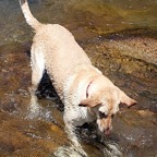 3752033943_7dea9ecb04