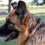 3752034675_b111921e3b