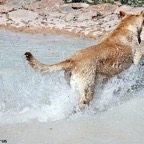 3752035561_6cea77ae8e