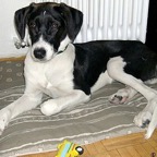 3752036397_94d020d05f