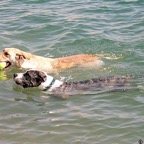 3752036831_ae02689c80