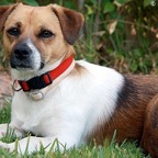 3752038113_228f9e2efe