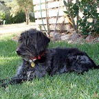 3752038625_a6fd283de4