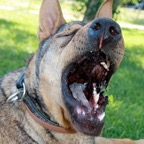 3752038829_1d3b598238