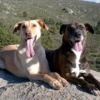 3752820622_42e511a87e