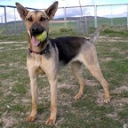 3752820820_ee2a91d4d5