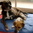 3752821386_c23eeaa3a8