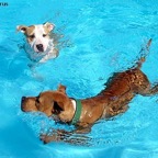 3752822020_911bd49e4d