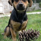 3752822204_9babac66b8