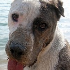 3752823308_efc883be32