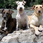 3752823692_fc3c36f7d8