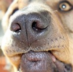 3752823990_46d21b803d