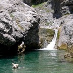 3752824384_af311e5746