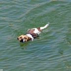 3752826720_afa3c8462a