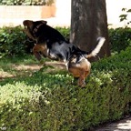 3752827480_46a418c105