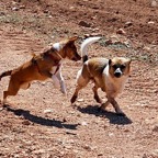 3752828232_171e86bd43