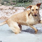 3752828640_397bd32893