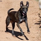 3752829084_49d731e994