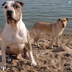 3752830604_0597acd443