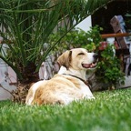 3762526854_5ecd4b8676