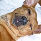 3752019615_35d8cb1cb7