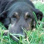 3752019891_94370d985d