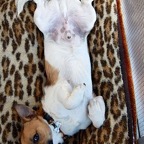 3752020119_7803a3bd09