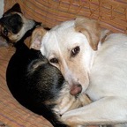 3752812536_b5aaa63a15