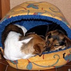 3752813758_16a2b815d1