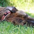 3752813986_facb84b861