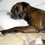 3761694893_18d7f888de