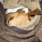 3761695211_3588d04ac9