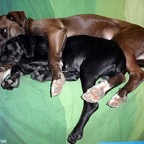 3761695805_f091e15db5