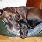 3761696055_aa6f04133e